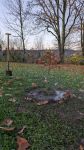 Bild#5